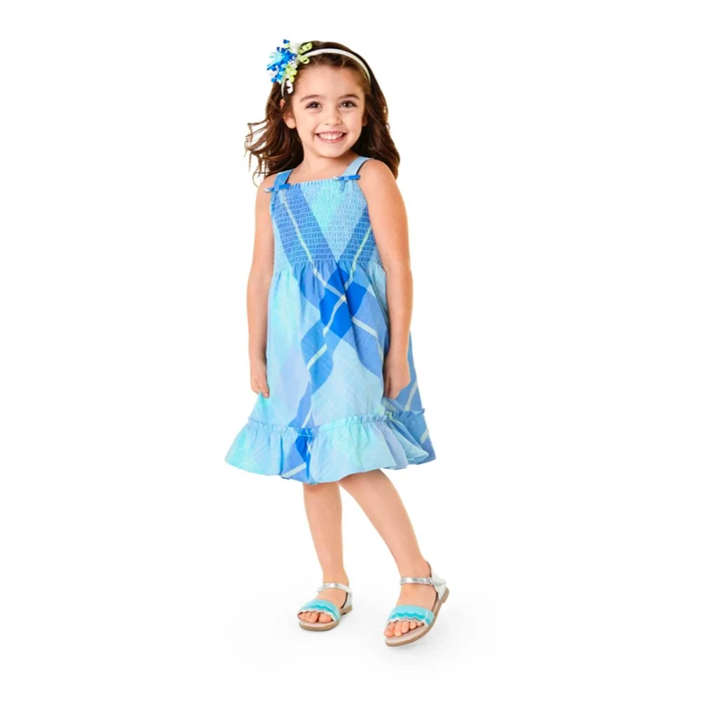 NWT Gymboree Blue Allover Plaid Cotton Poplin Smocked Dress